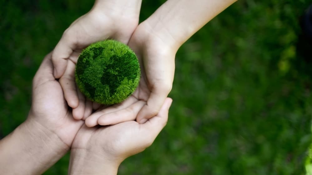 Who Should Pay for the “Green Premium” in the Steel Industry?